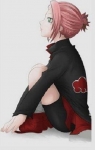 sakura akatsuki